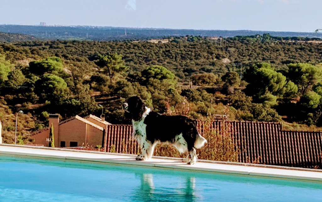 Hola, me llamo&nbsp;Irma