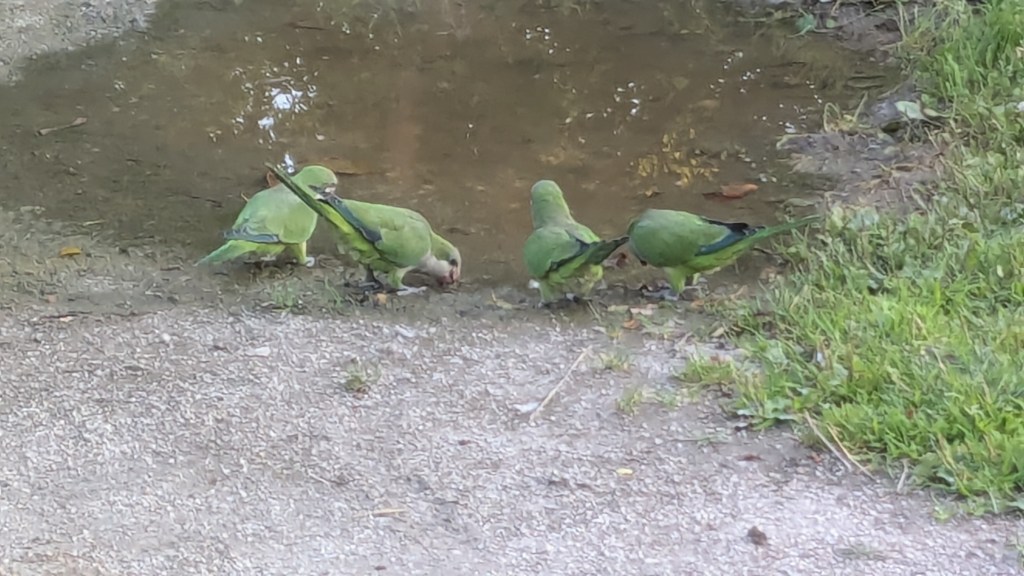 4 maneras para reconocer el amor –&nbsp;Intuye