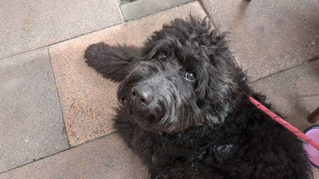 Las pequeñas victorias